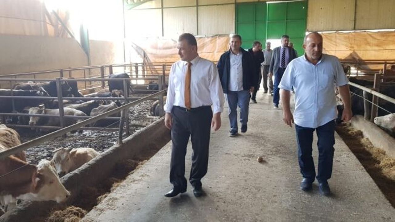 Büyükşehir'den Gebzeli çiftçilere 800 bin TL'lik destek