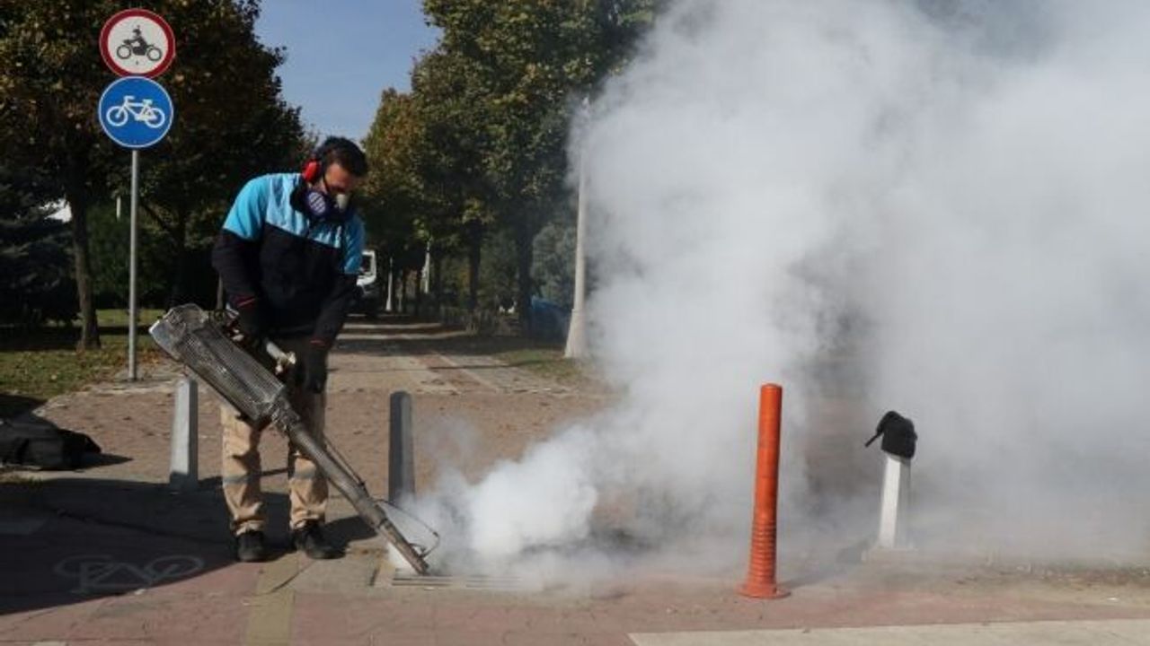 Sivrisinek ile mücadele devam ediyor   