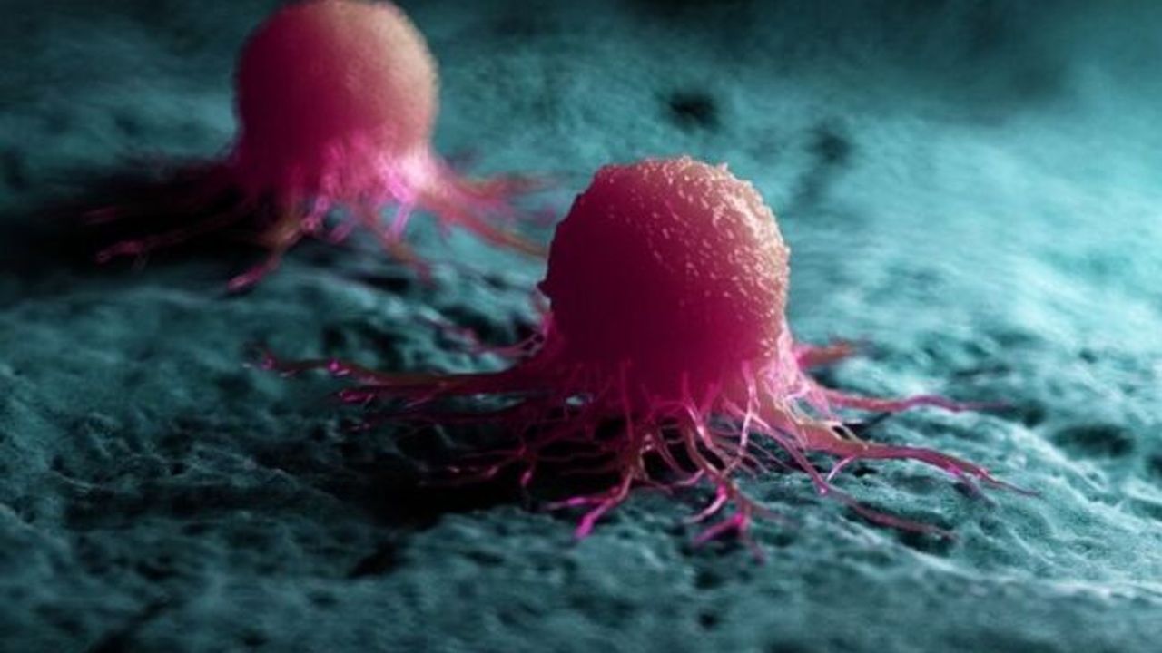 Erkeklerde en çok akciğer, kadınlarda meme kanseri görülüyor