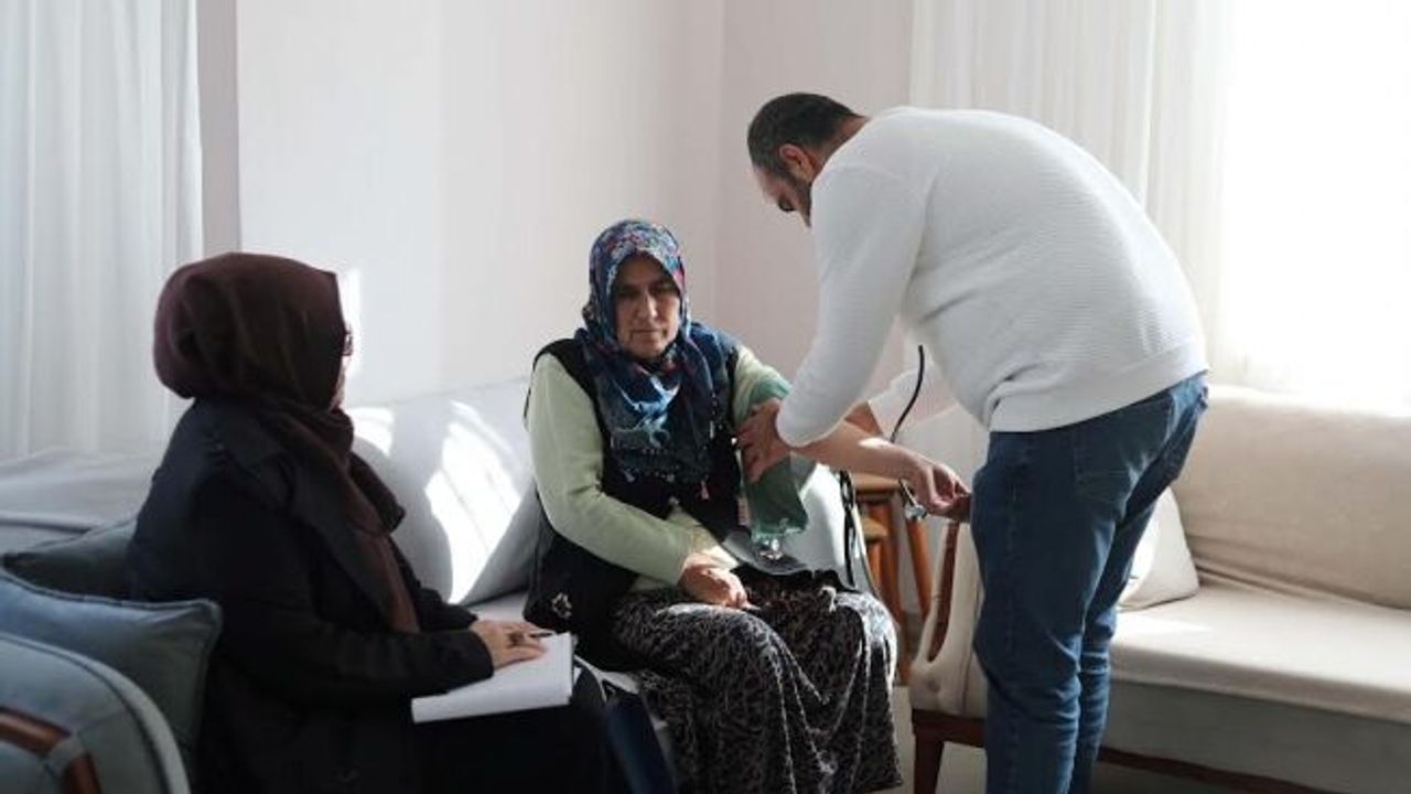 Gebze Belediyesi ilçenin  çınarlarını yalnız bırakmıyor