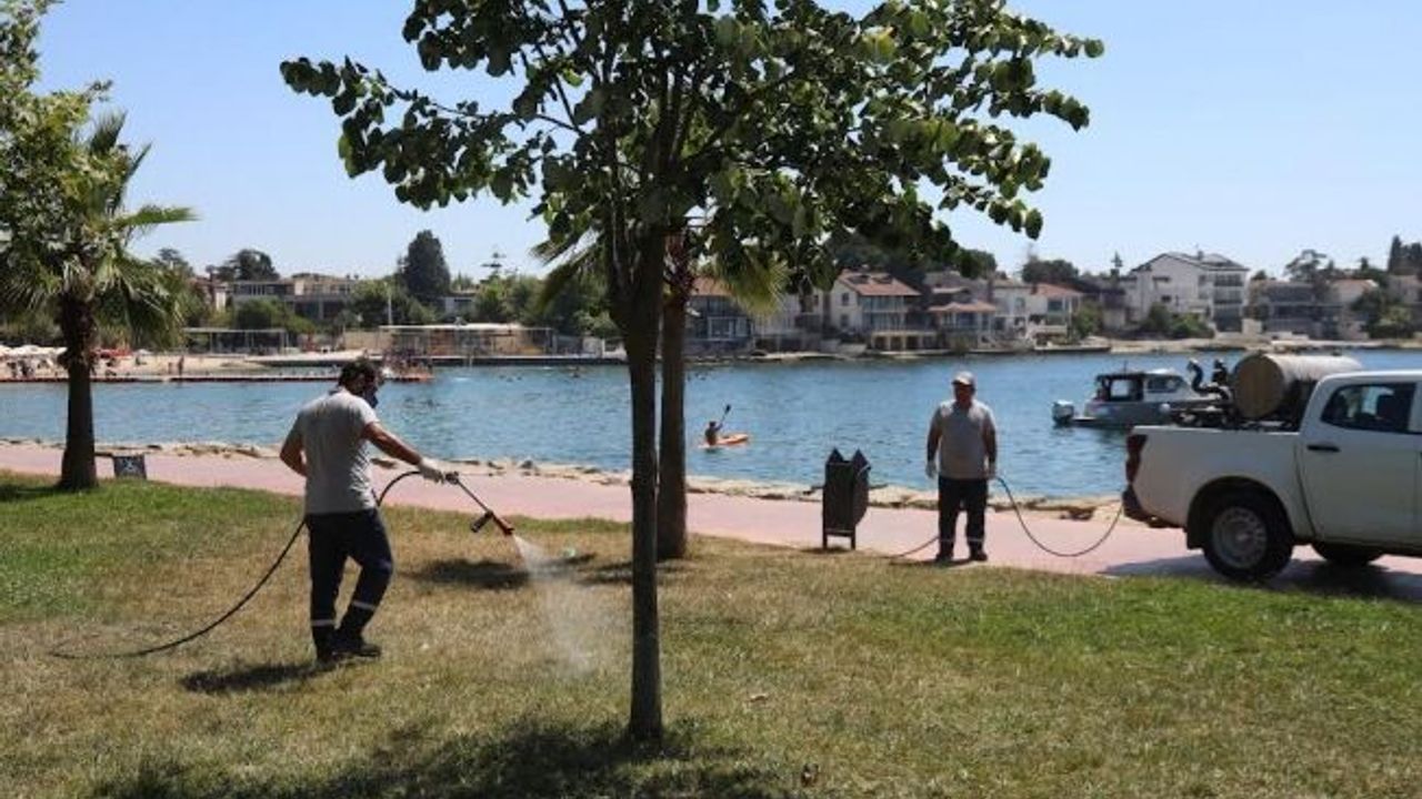 Darıca’da yeşil alanlar artık daha güvenli