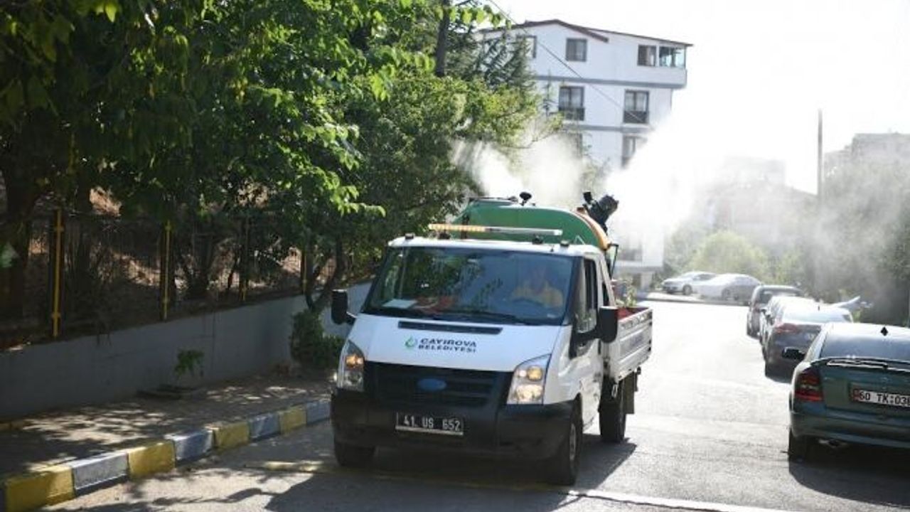 Vektörle mücadele aralıksız devam ediyor