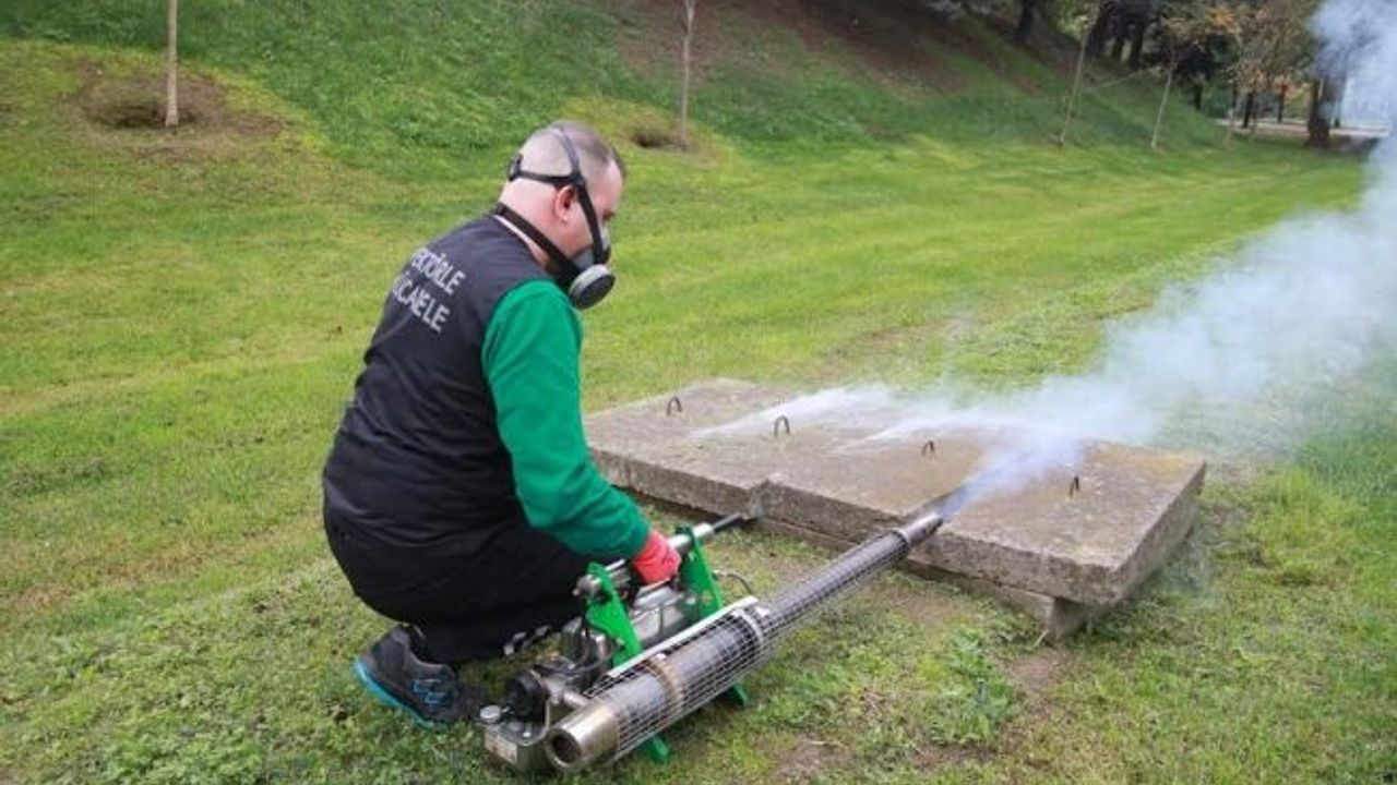 Sinekle mücadele sonbaharda da hız kesmiyor