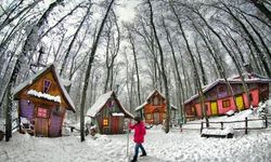 Ormanya’da kartpostallık kış manzaraları