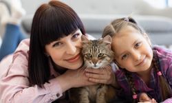 Dünyada 600 milyondan fazla, Türkiye’de ise yaklaşık 10 milyon kedi insanlarla birlikte yaşıyor.