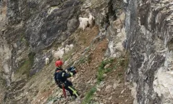 Her can Kocaeli İtfaiyesi'ne emanet