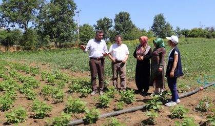 150 Çiftçiye yüzde 50 Hibeli Destek!