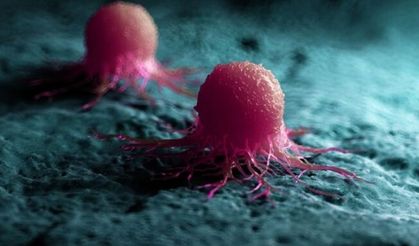 Erkeklerde en çok akciğer, kadınlarda meme kanseri görülüyor