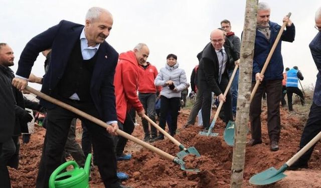 Gebze’de fidanlar toprakla buluştu