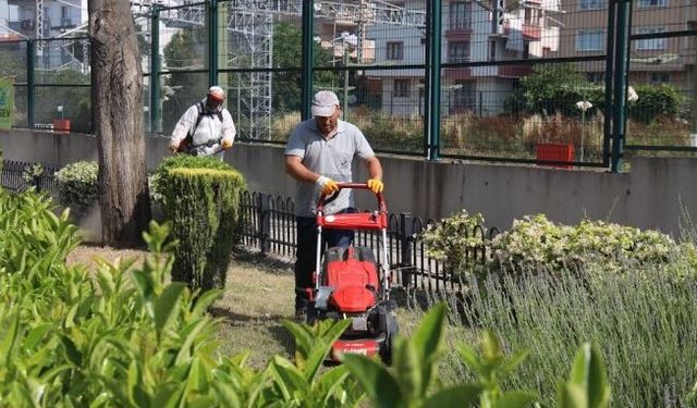 Darıca bayrama hazır