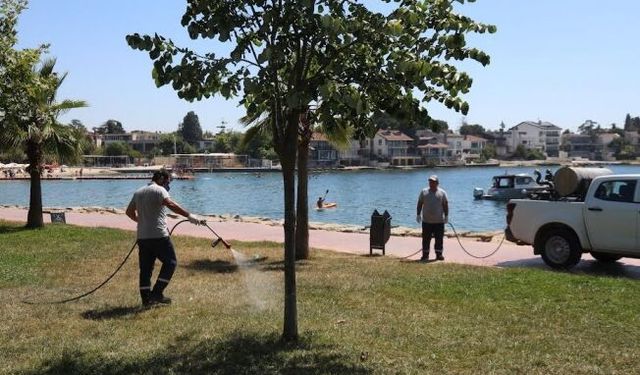 Darıca’da yeşil alanlar artık daha güvenli