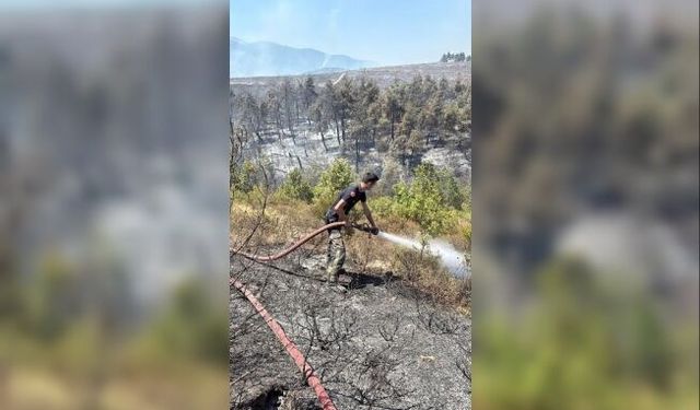 Kocaeli itfaiyesi Bursa’ya desteğe koştu