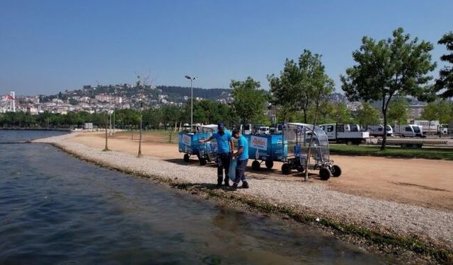 Kocaeli sahilleri hem bakımlı hem de pırıl pırıl