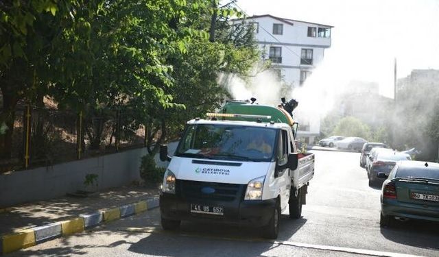Vektörle mücadele aralıksız devam ediyor