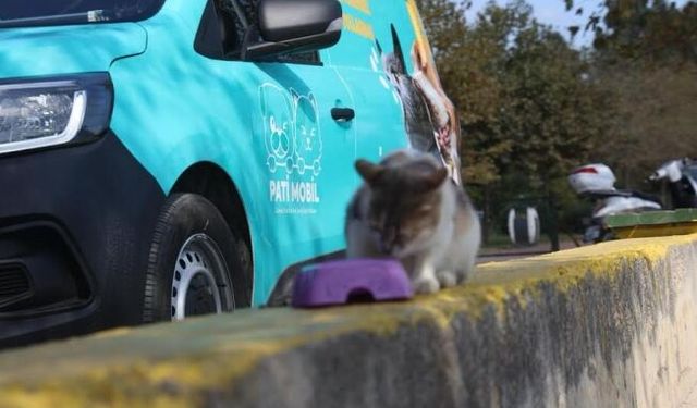 Darıca Belediyesi’nden Can dostlarımıza mama ve su desteği