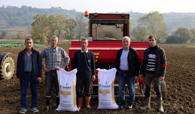Büyükşehir’in hibeli tohumları toprakla buluştu