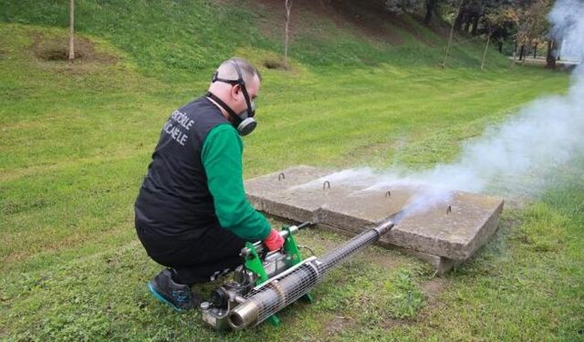 Sinekle mücadele sonbaharda da hız kesmiyor