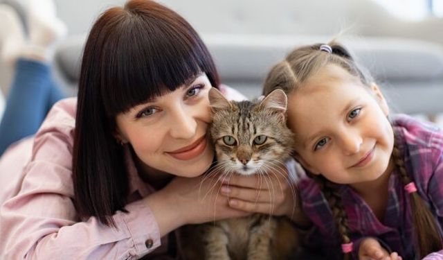 Dünyada 600 milyondan fazla, Türkiye’de ise yaklaşık 10 milyon kedi insanlarla birlikte yaşıyor.