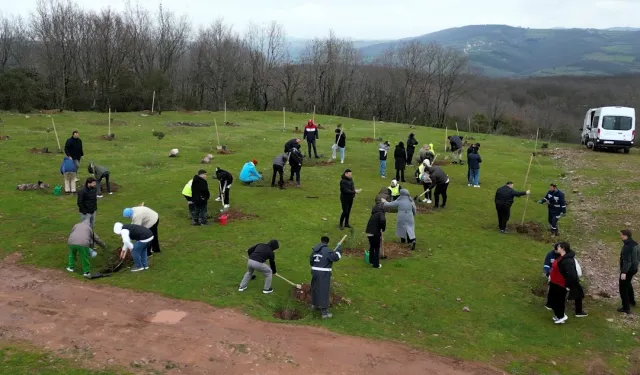 Kocaeli'de fidanlar engelsiz hayat için dikildi