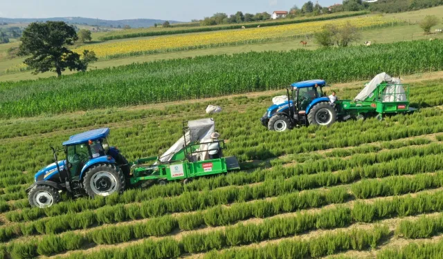 Kocaeli'de kırsal üretimde Büyükşehir'in izi var