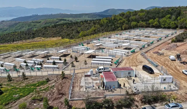 Kocaeli'nde sahipsiz köpeklere yeni yuva