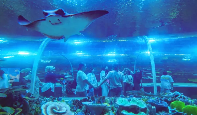 Kocaeli'de Körfez Aqua 7'den 70'e herkesi büyüledi
