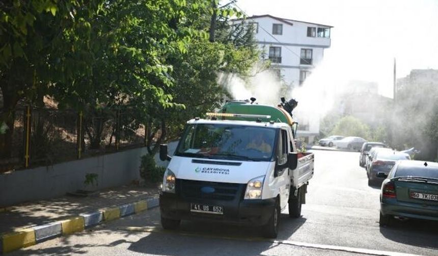 Vektörle mücadele aralıksız devam ediyor