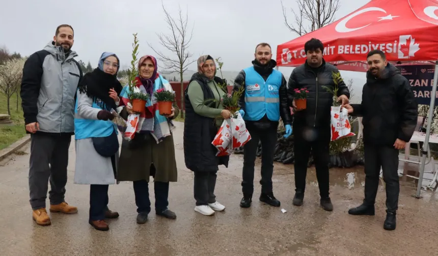 İzmit Belediyesi mezarlıklar için binlerce fide dağıttı
