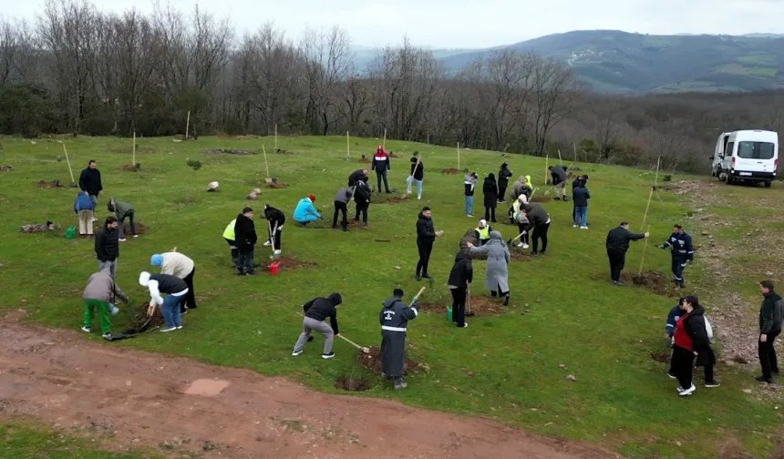 Kocaeli'de fidanlar engelsiz hayat için dikildi