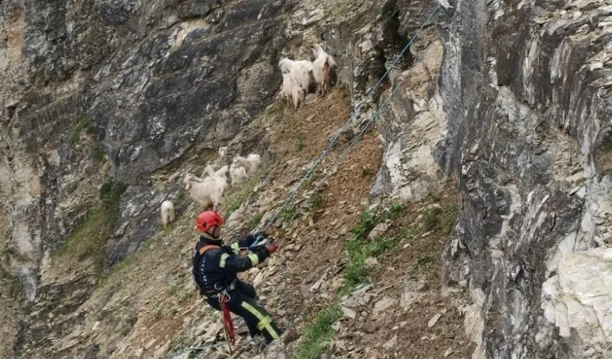 Her can Kocaeli İtfaiyesi'ne emanet