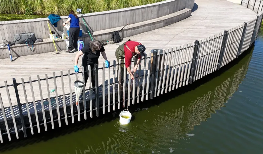 İzmit Millet Bahçesi'nde su göletine bilimsel çalışma