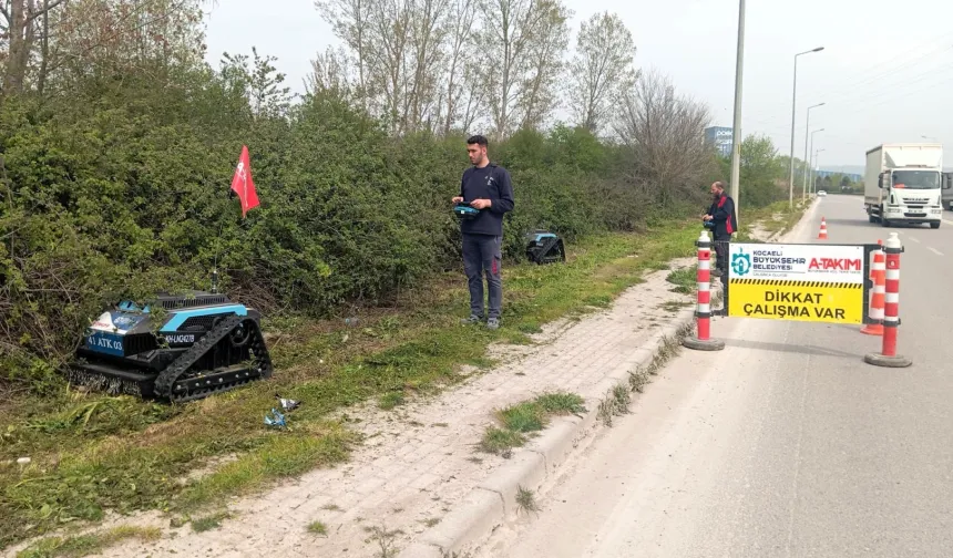 Kocaeli'de 'çalı canavarı' durmak bilmiyor