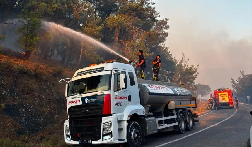 Kocaeli'den Balıkesir'e yangın desteği