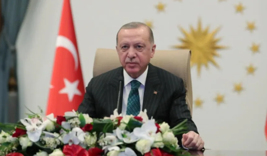 Cumhurbaşkanı Erdoğan'dan Sakarya Zaferi'nin 105. yılı mesajı