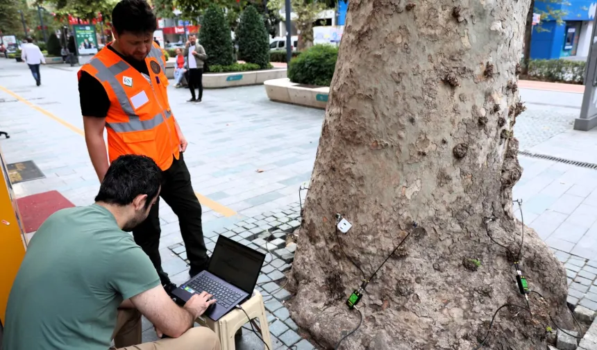 Kocaeli'nin doğal mirasına tomografi
